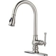 Kitchen Faucet with Pull Down Sprayer Single Handle High Arc Kitchen