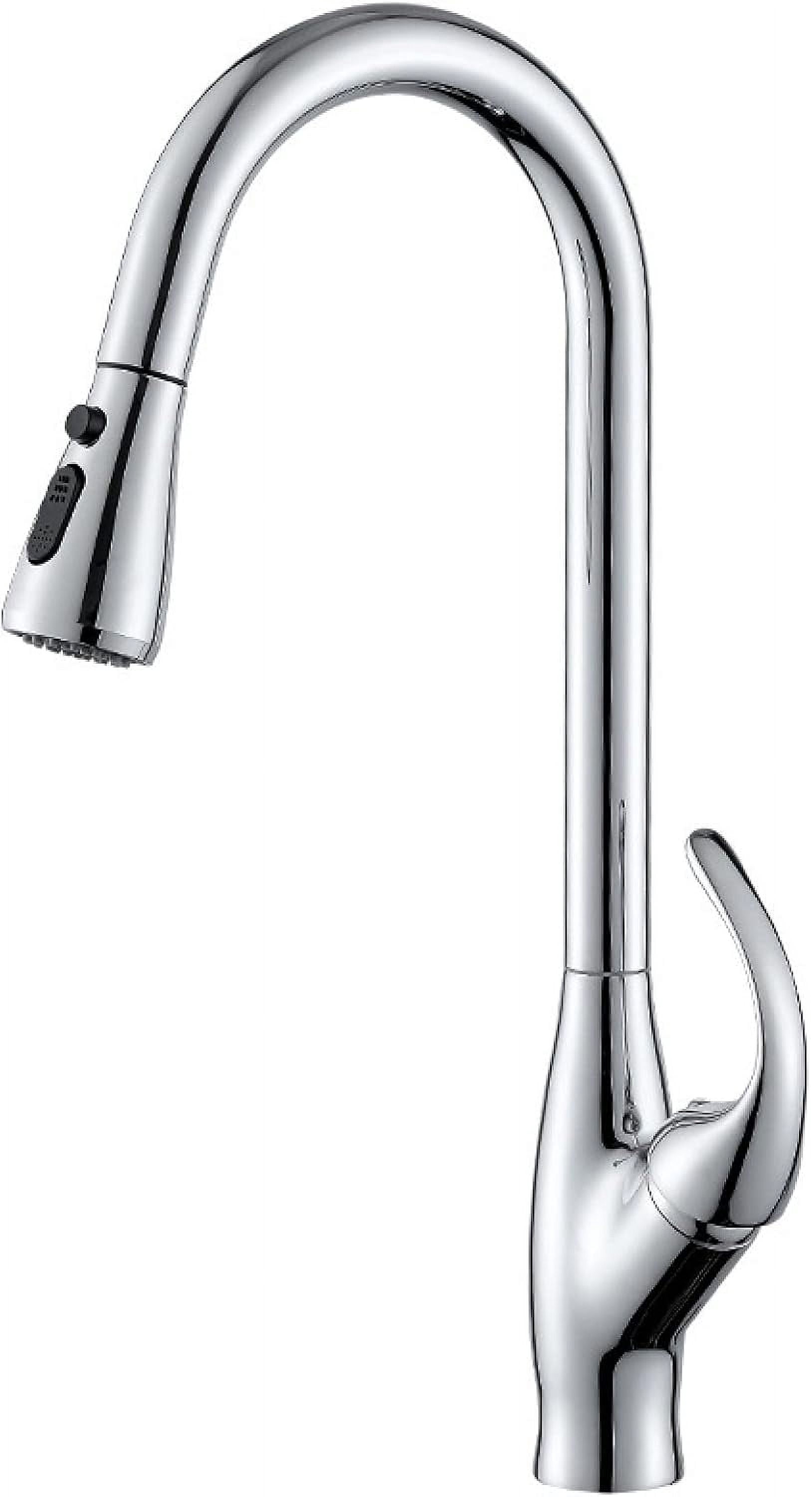 Kitchen Faucet with Pull Down Sprayer,Kitchen Sink Faucet 2 Types of