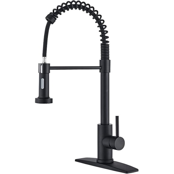 Kitchen Faucet,Stainless Steel Kitchen Mixer Tap Single Handle Kitchen Sink Faucet with Pull Out Spray 360° Swivel Mixer Tap with Dual Function,Brushed