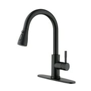 Kitchen Faucet with Pull Out Spraye