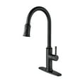 thumbnail image 1 of Kitchen Faucet with Pull Out Spraye, 1 of 8