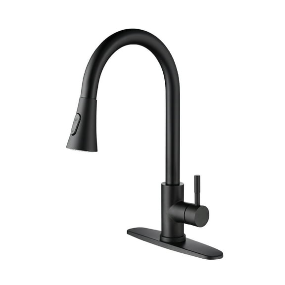 Kitchen Faucet with Pull Out Spraye
