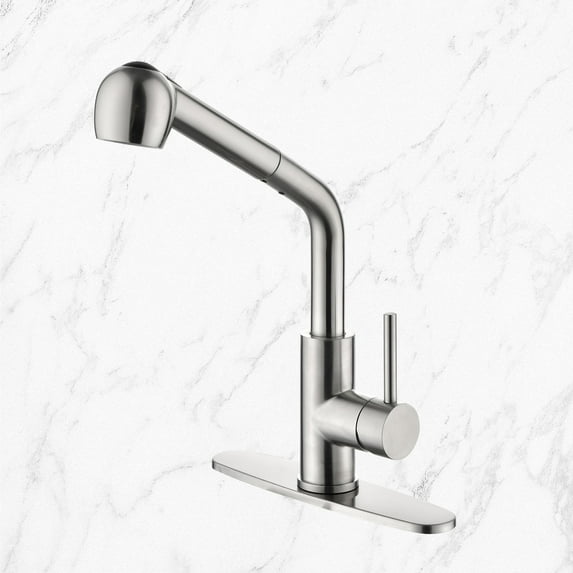 Kitchen Faucets with Pull Down Sprayer,Stainless Steel Single Handle Kitchen Sink Faucet with Pull Out Sprayer