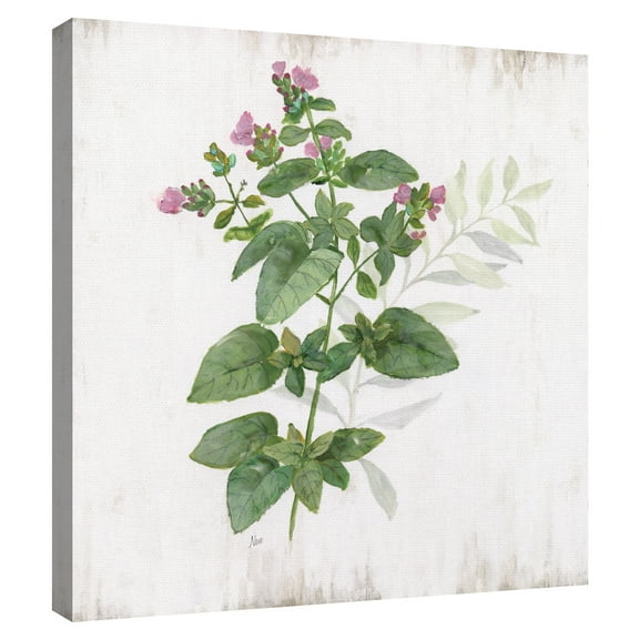 Kitchen Garden I by Nan Canvas Art Print