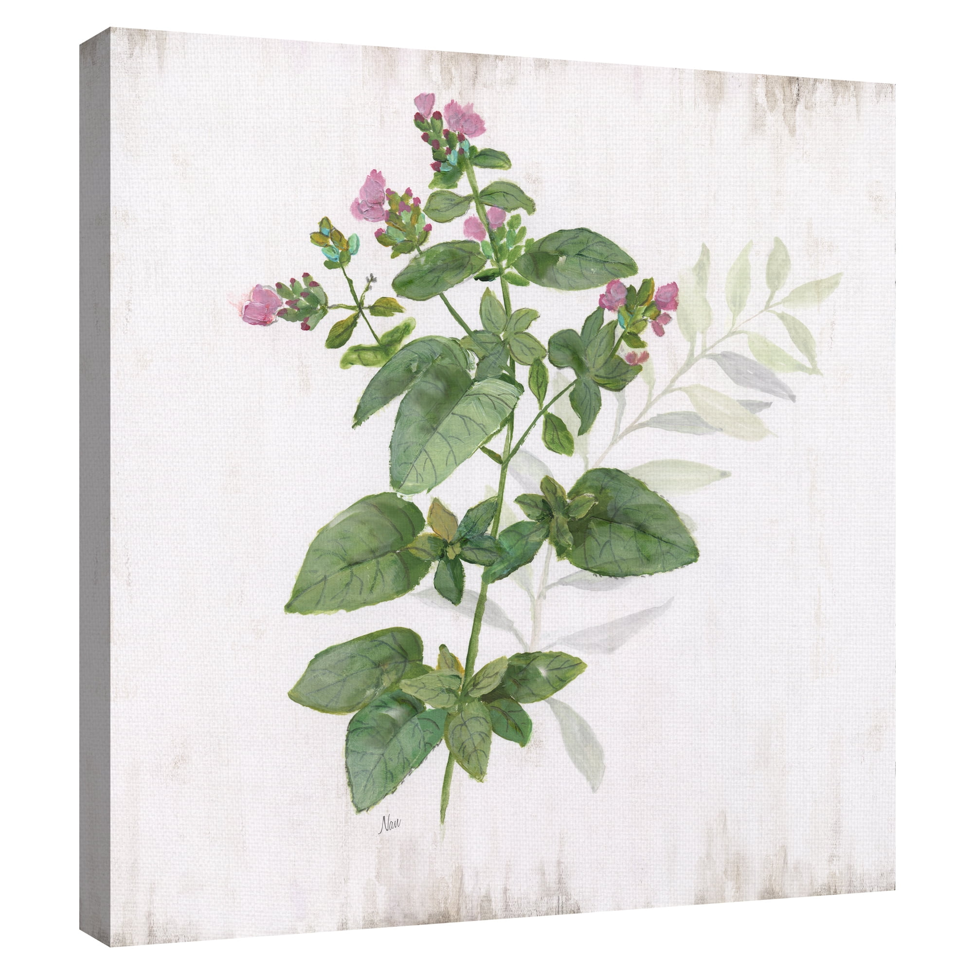 Kitchen Garden I by Nan Canvas Art Print