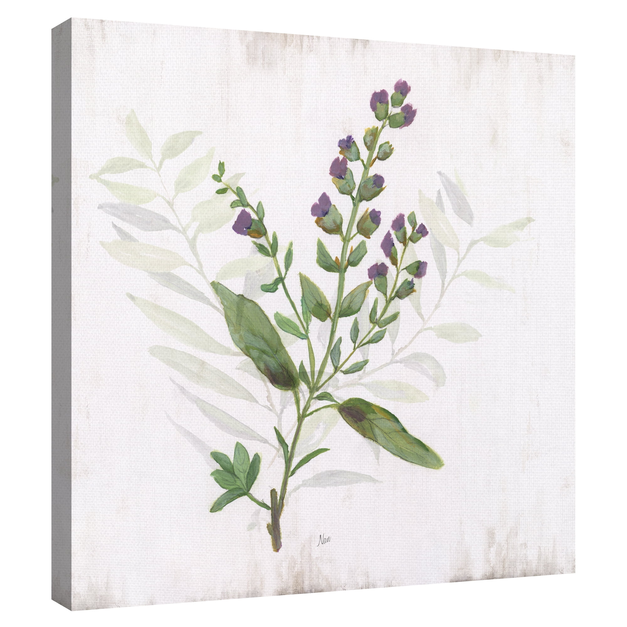 Kitchen Garden II by Nan Canvas Art Print