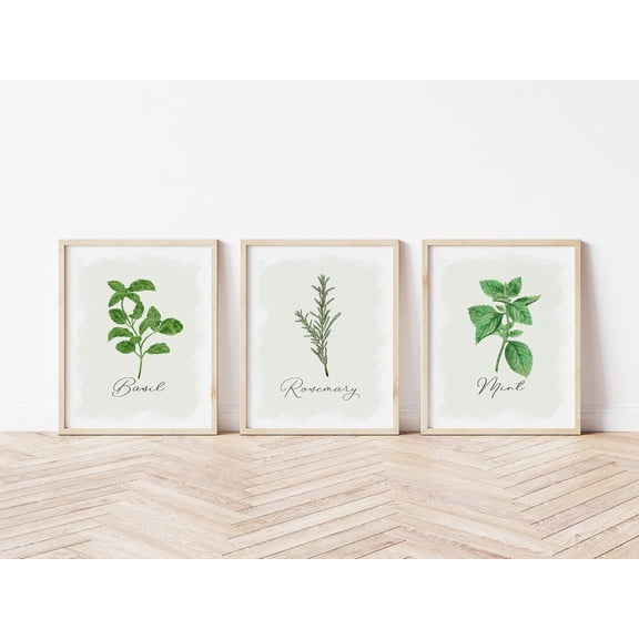 Kitchen Herb Posters, Herb Wall Art, Botanical Posters, Basil, Rosemary, Mint Printed Poster, Stretched Canvas