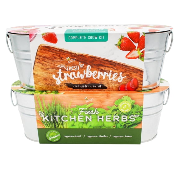 Kitchen Herbs and Strawberry Grow Kit 2-Pack | Indoor Windowsill Gardening