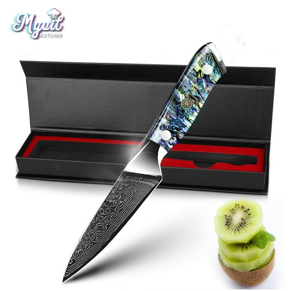 Kitchen Knife Damascus Steel Knife VG10 67 Layers Japanese Chef Knives Santoku Carving Cutting Tool Abalone Shell Handle with Sheath and Giftbox