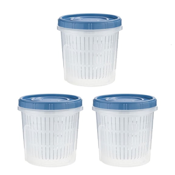 Kitchen Onion Choppers Freshness Box Functional 900ml Scallion Freshness Case Practical Kitchen Storage Containers