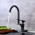 Kitchen Sink Faucet for Bar Farmhouse Commercial, Black Brass Pattern