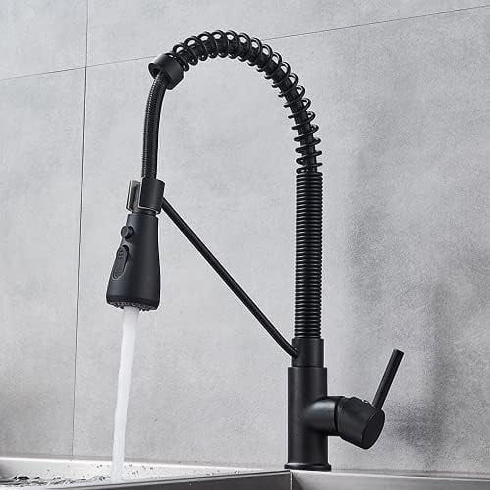 Kitchen Sink Faucet for Bar Farmhouse Commercial, Chrome/ Black Style ...