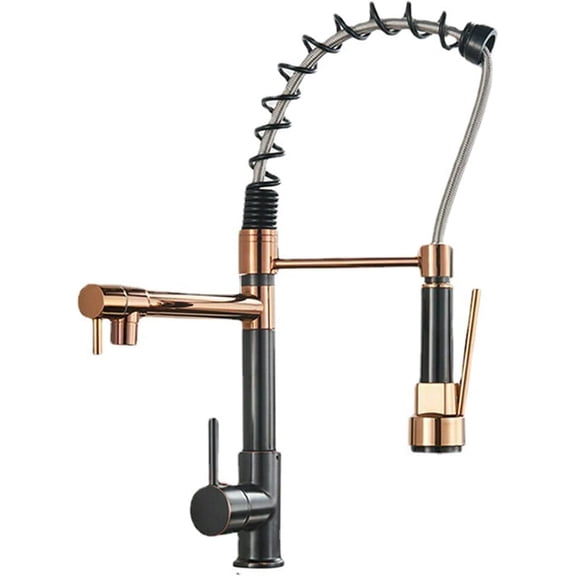 Kitchen Sink Faucet, Double Outlet Spring Kitchen Faucet with Pull Down Sprayer, Stainless Steel Single Handle Single Hole Kitchen Mixer Tap, Gilded Black