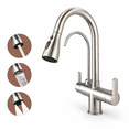 Kitchen Sink Faucet With Pull - Down Sprayer 2 Handle 3 In 1 Filter ...