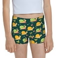 Easygdp Snails And Butterfies Girls Hipster Cotton Underwear Little Girls' Underwear Toddler