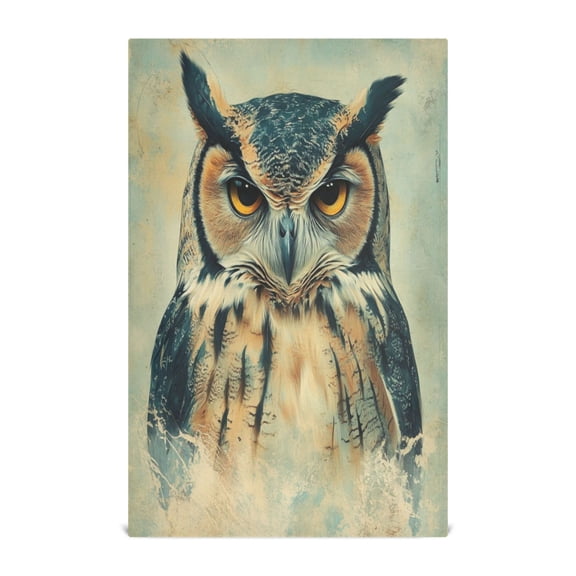 Kitchen Towel 28x18 Inches x1,Plate Towel, Decorative Towel, Napkin, Tea Towel Tea Towels For Kitchen Dish Cloths & Dish Towels Cool Owl