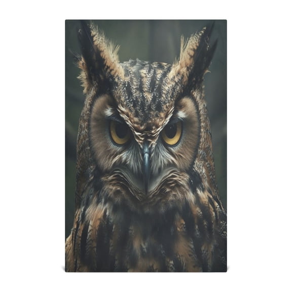 Kitchen Towel 28x18 Inches x1，Plate Towel, Decorative Towel, Napkin, Tea Towel Tea Towels For Kitchen Dish Cloths & Dish Towels Gray Owl Pattern