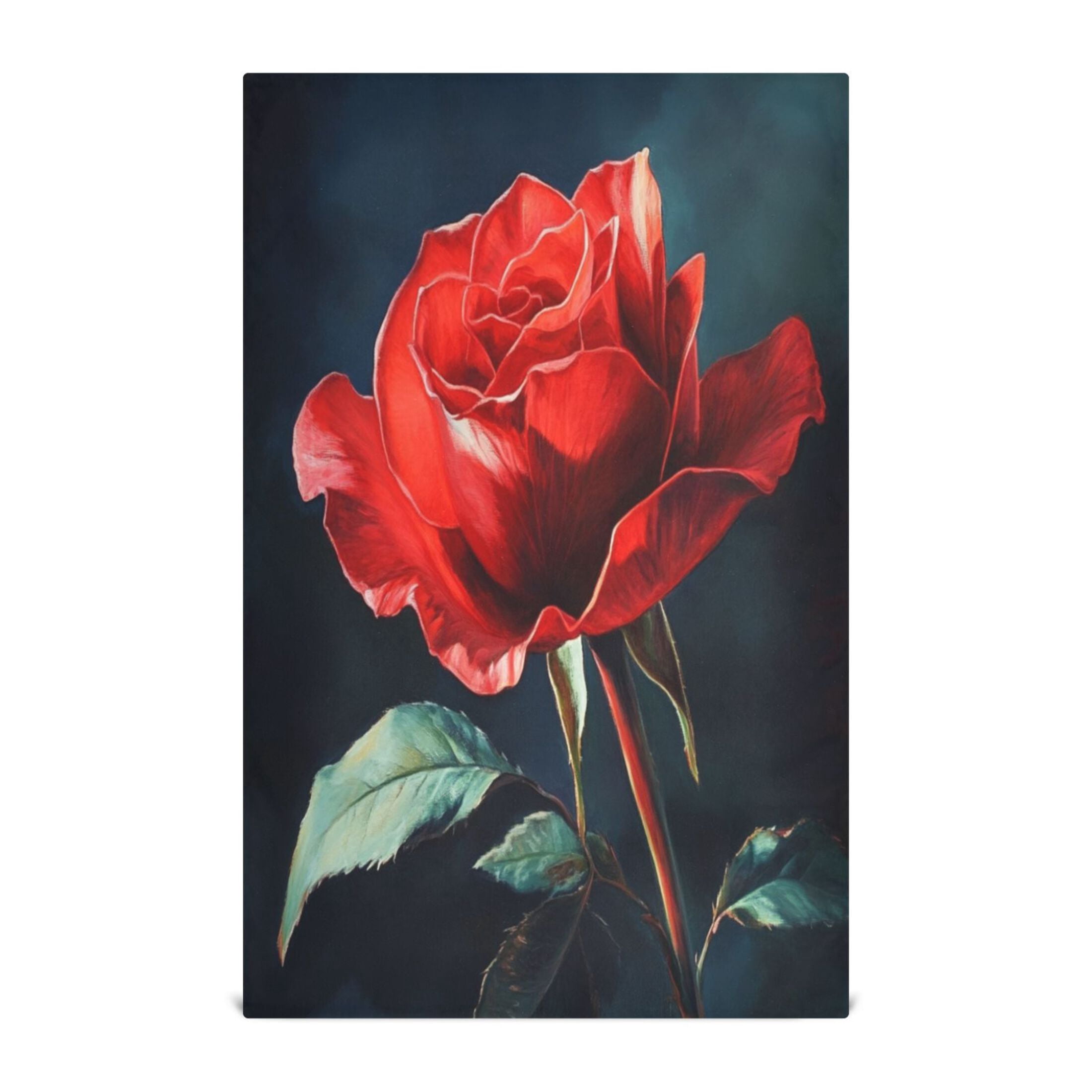 Kitchen Towel 28x18 Inches x6，Plate Towel, Decorative Towel, Napkin, Tea Towel Tea Towels For Kitchen Dish Cloths & Dish Towels Big Red Rose