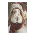 thumbnail image 1 of Kitchen Towel 28x18 Inches x6，Plate Towel, Decorative Towel, Napkin, Tea Towel Tea Towels For Kitchen Dish Cloths & Dish Towels Cute Christmas Rabbit, 1 of 7