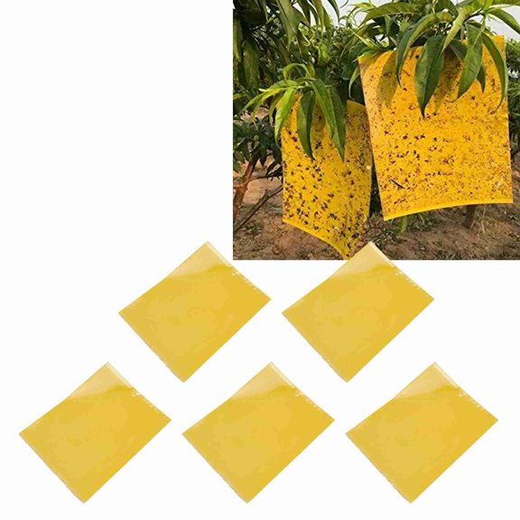 Kitchen Trap, 20Pcs Sticky Trap for Greenhouse for Garden
