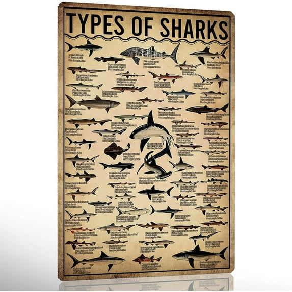 Kitchen Witchery Decor Vintage Metal Tin Sign Kitchen Witchery Signs Witch Knowledge Poster Kitchen Wall Decorations 8X12 inch