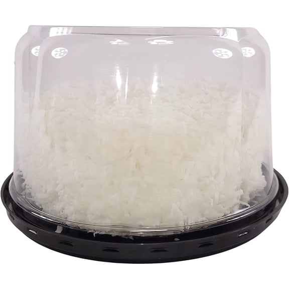 KitchenDance D & W Fine Pack Cake Display Container - 6 Inches Plastic Cake Container, Showcase Small Cakes with , Scalloped Design Stand, Perfect for Preparing and Storing Food - 1793, 25 Count