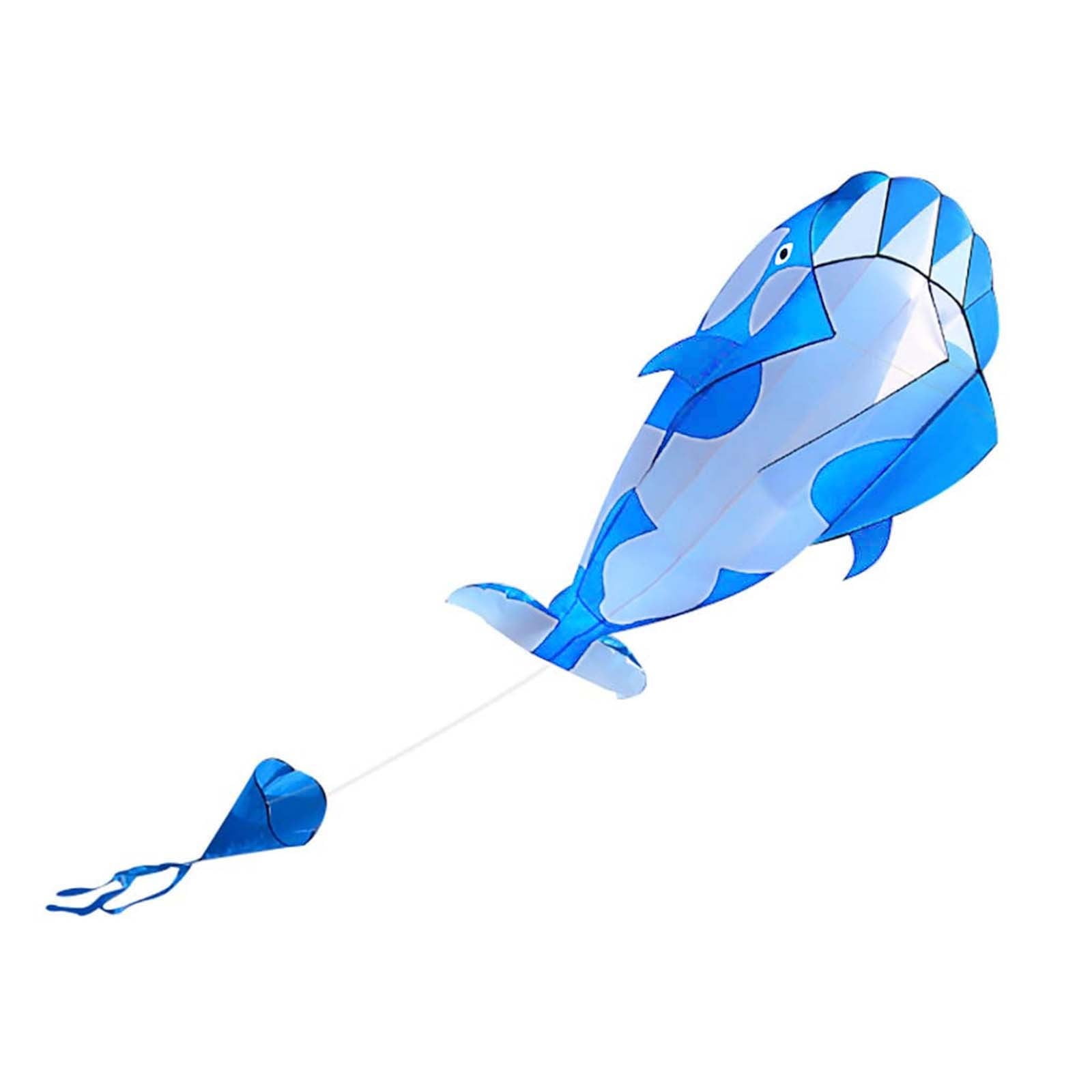 Kite Beach Kites with Huge Frameless Soft for Kids Family 3D Camping