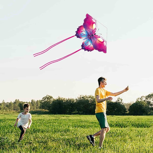 Kite, Large Biomimetic Delta Kite for Adults Kids with Long Floating Tail, Easy to Fly in Gentle Wind, High-End Vinyl Outdoor Flying Toy, Includes String Line