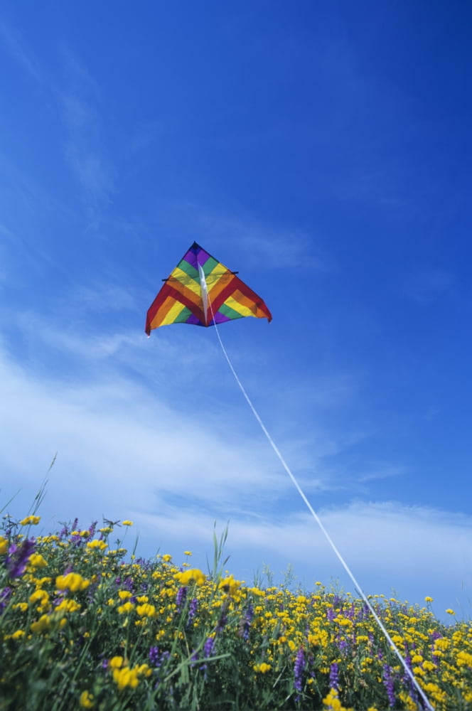 Kite Over Field Winnipeg Manitoba Canvas Art - Dave Reede Design Pics (22 x 34)