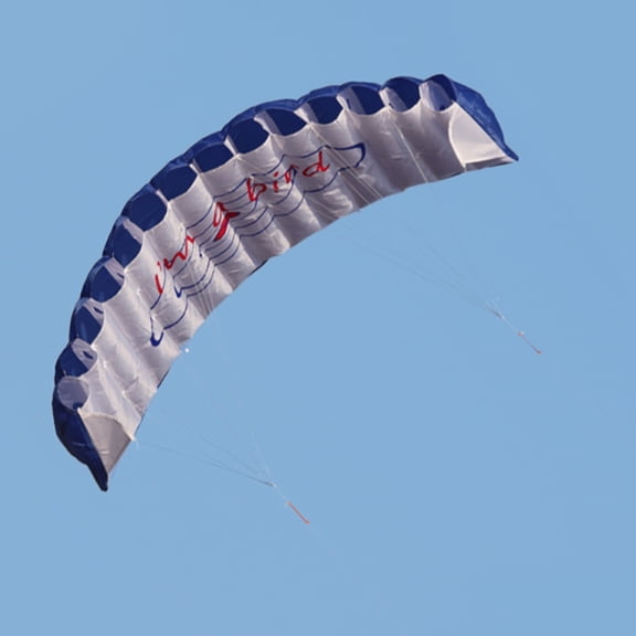 Kite with Flying Line Double 1.4m Colorful Double Flying Line Wing Kite Stunt Power Kite Soft Flying Kite Sports
