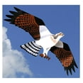 thumbnail image 1 of Kite, 1 of 2