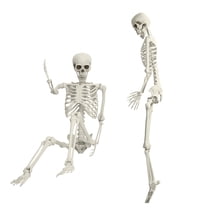 Kitem Halloween Full Body Skeletons, 1 Pcs Poseable Life Size Skeletons Plastic Human Bones with Movable Joints for Halloween Party Prop Decoration (5.4ft)