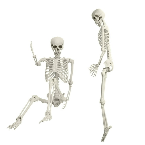 Kitem Halloween Full Body Skeletons, 1 Pcs Poseable Life Size Skeletons Plastic Human Bones with Movable Joints for Halloween Party Prop Decoration (5.4ft)