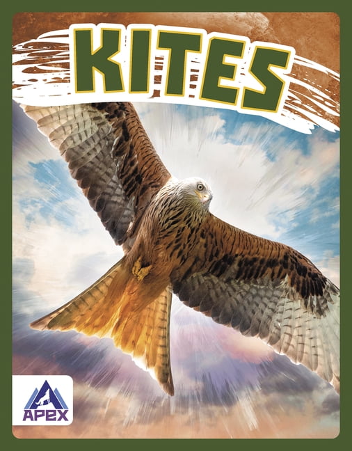 Kites, (Hardcover)