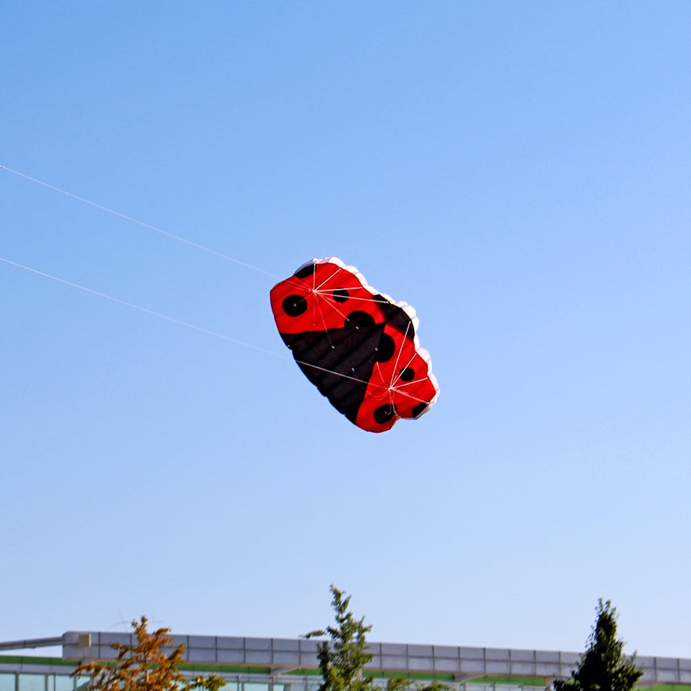 Kites for Boys Ages 48 Strong Kite String Huge Outdoor Sports TwoLine