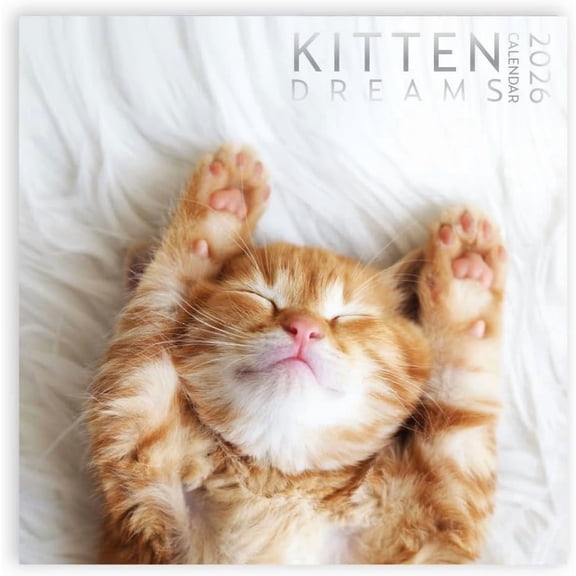 Kitten Calendar 2026, Kitten Square Large Wall Calendar 12 x 12 inch, Yearly Lover's Calendar