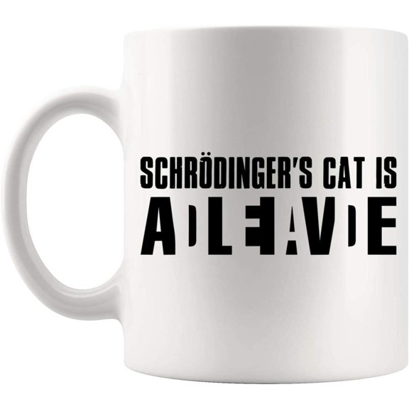Kitten Cats Lover Gifts Kitten Cats Lover Gifts schrodingers Cat Physics Birthday Gift 11Oz Cup Mug