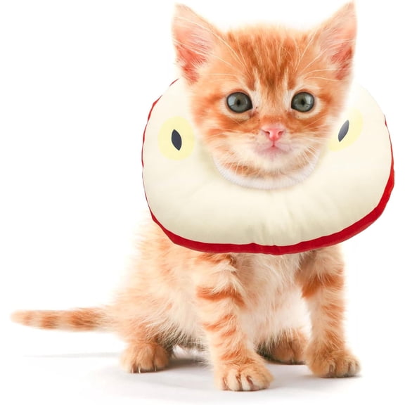 Kitten Cones After Surgery 0-6 Months, Donut Extra Small Kitten Cone Collar Soft to Stop Licking Neck, Elizabethan Kittens e Collar for Recovery, Cat Cone Spray, Pet Soft Cone for Cats