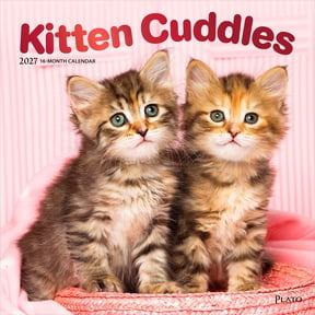 Kitten Calendar