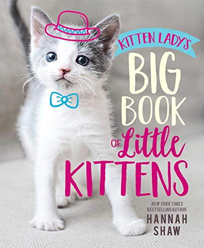Pre-Owned Kitten Lady's Big Book of Little Kittens (Hardcover) 1534438947 9781534438941
