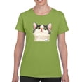 thumbnail image 1 of Kitten Looking Down T-Shirt Women -Kayomi Harai Designs, Female x-Large, 1 of 4