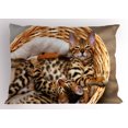 thumbnail image 1 of Kitten Pillow Sham Little Bengal Cats in Basket Cuddly Purebred Kitties Domestic Feline, Decorative Standard Queen Size Printed Pillowcase, 30 X 20 Inches, Brown Pale Brown Beige, by Ambesonne, 1 of 2