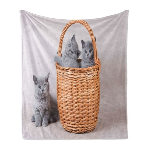 Kitten Soft Flannel Fleece Throw Blanket, 3 British Cats Kitties in Basket Baby Animals Fluffy Pets, Cozy Plush for Indoor and Outdoor Use, 70" x 90", Grey Pale Brown Dust, by Ambesonne