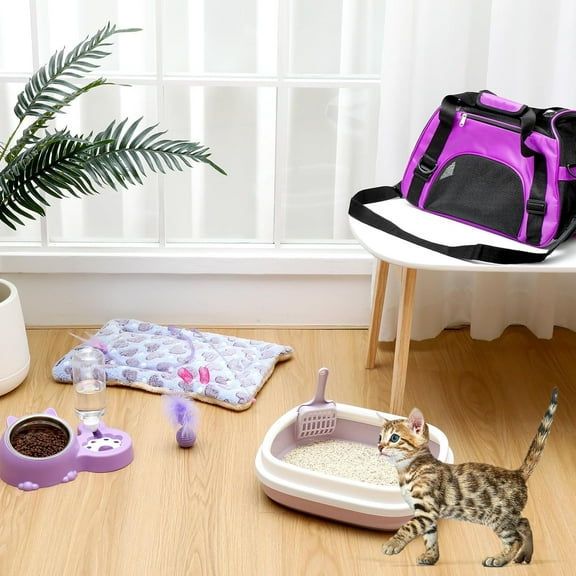 Kitten Starter Kit, 10 Pcs Cat Starter Kit for Indoor Cats Kitten Essentials Includes Litter Box, Pet Toy, Folding Carrier, Climbing Frame, Mat, Collar, Automatic Food Bow(Cute,)