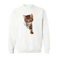 thumbnail image 1 of Kitten Through The Hole Sweatshirt Women -SPIdeals Designs, Female 5X-Large, 1 of 4