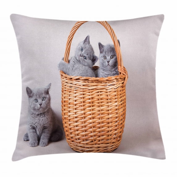 Kitten Throw Pillow Cushion Cover, Three British Cats Kitties in Basket Adorable Baby Animals Fluffy Pets, Decorative Square Accent Pillow Case, 16 X 16 Inches, Grey Light Brown Dust, by Ambesonne