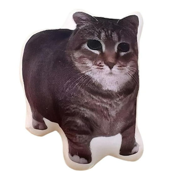 Kitten Voice Doll Plush Toy, Talking Cat with Chinese Pronunciation, Soft Stuffed Animal, Cute Travel Companion Gift