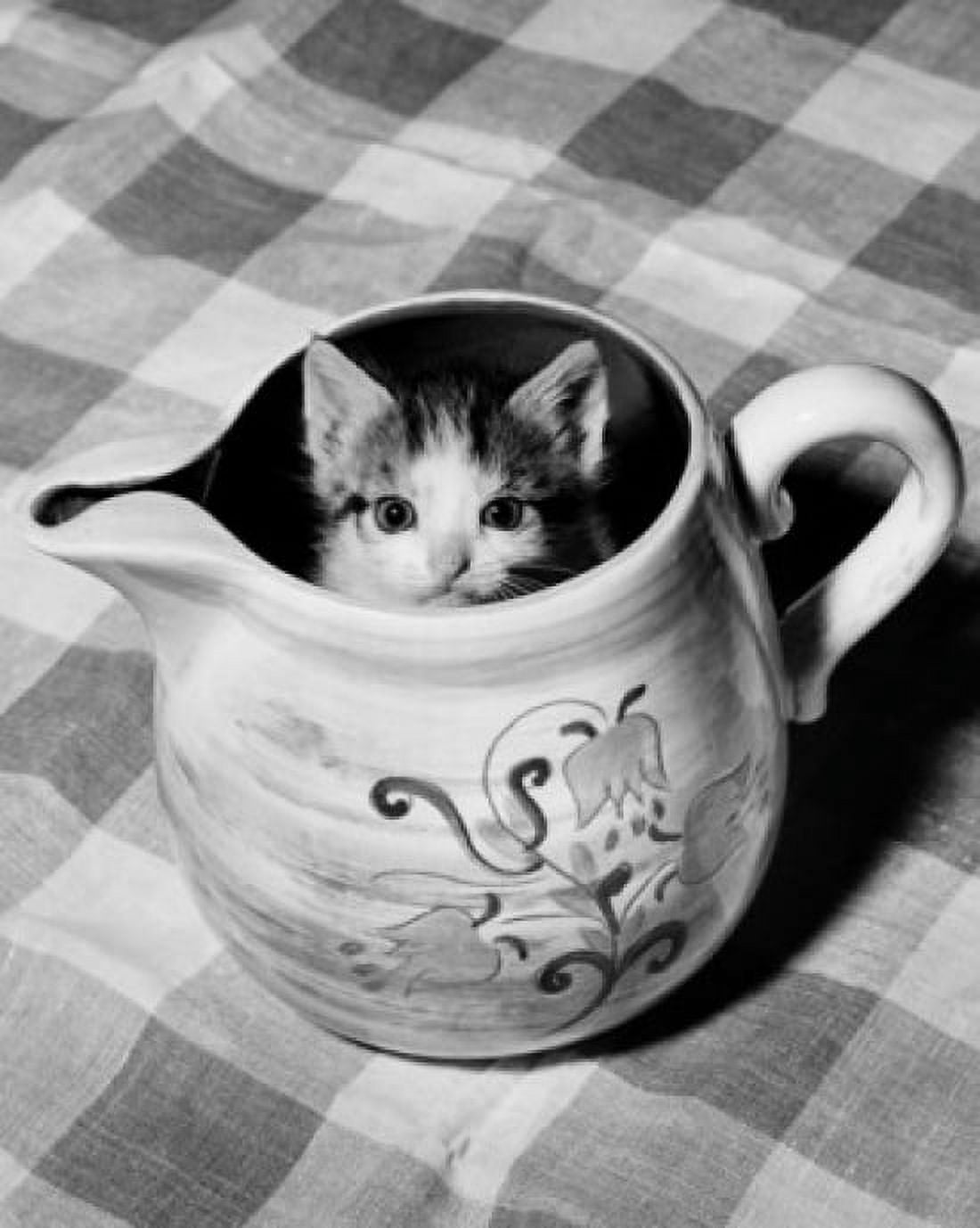 Kitten peeking out of a pitcher Canvas Art -  (18 x 24)
