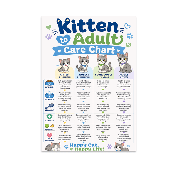 Kitten to Adult Care Chart - Cat Owner - 13x19 Poster Print