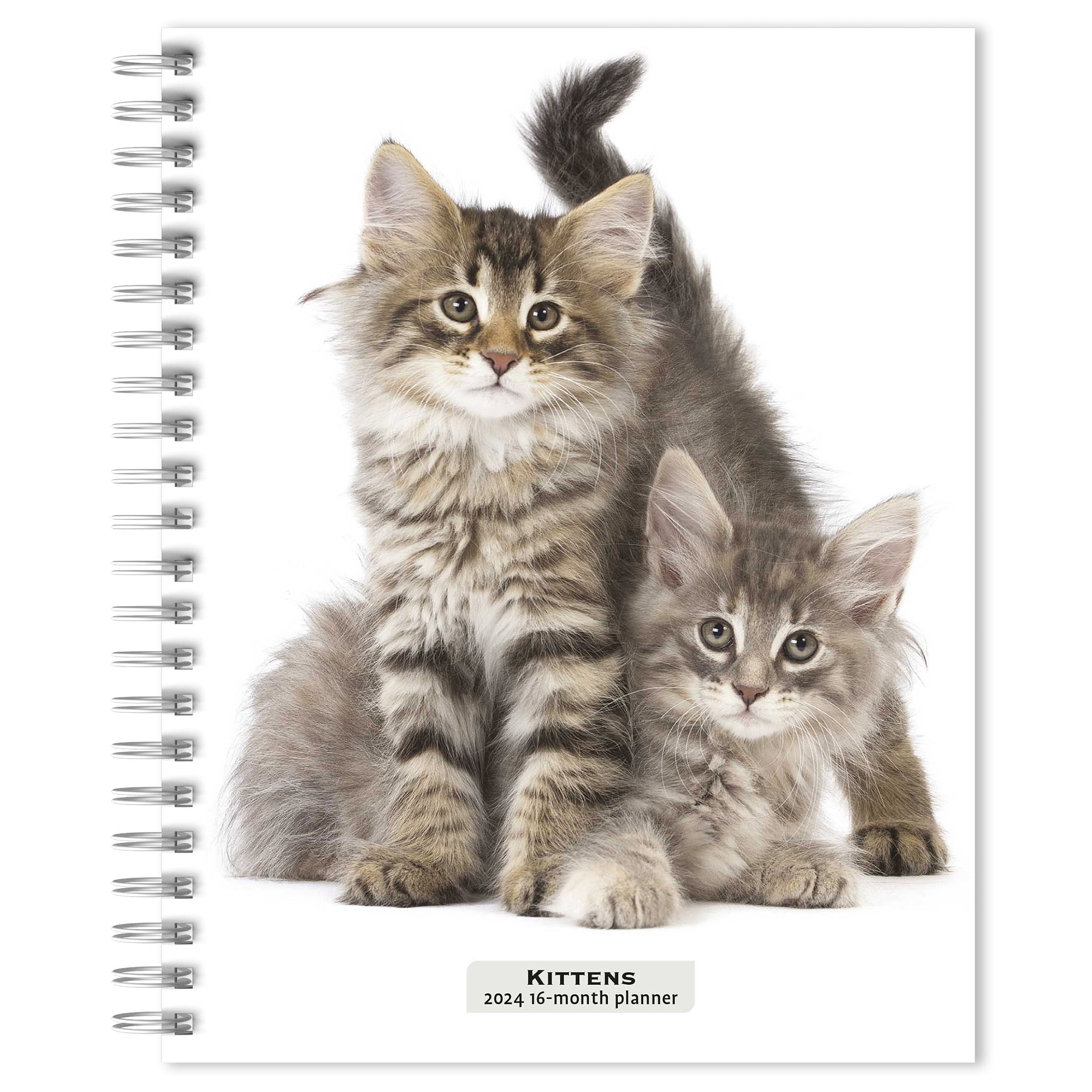Kittens | 2024 6x7.75" Wire-O Engagement Planner Calendar | BrownTrout